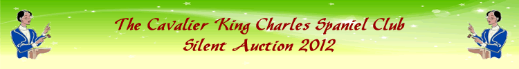 Charity Auction