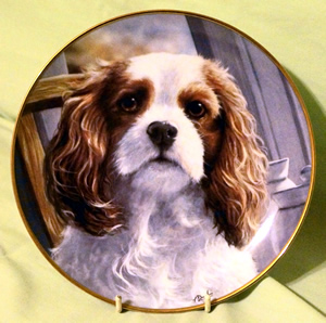 Item 27 Danbury Plate