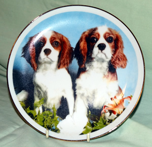 Item 33 Timeless China Plate