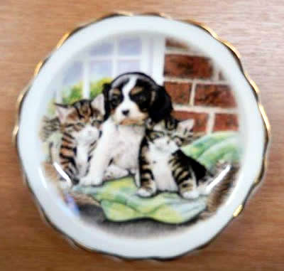 Item 60 Argyle Plate