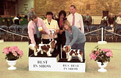 BIS Photo