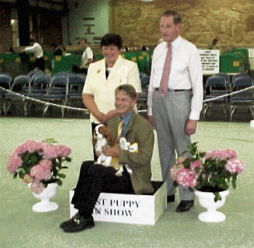 Best Puppy In Show