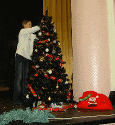 Decorate the Tree