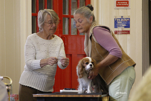 Annette doing microchipping.
