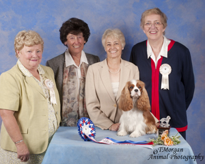 Cavalier Of The Year 2013