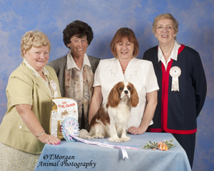Puppy Of The Year 2013