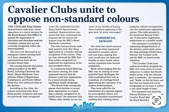 CKCS Colour Challenge