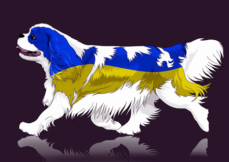 Support to Ukraine