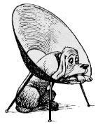 Any Chair