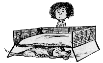 Soft Bed?