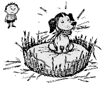 Wicker Basket