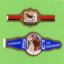 Cigar Wrapper