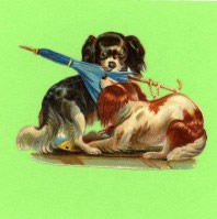 Scrap Card