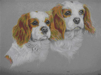 Blenheim Portrait