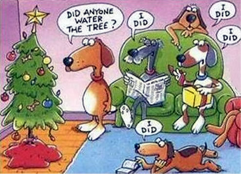 Christmas Card