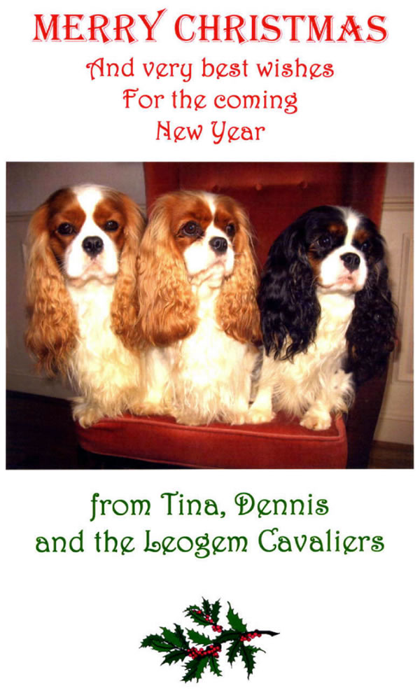 Happy Christmas from Dennis & Tina