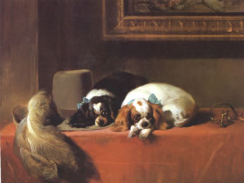 Cavalier Pets