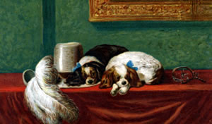 Alternative Cavalier's Pets