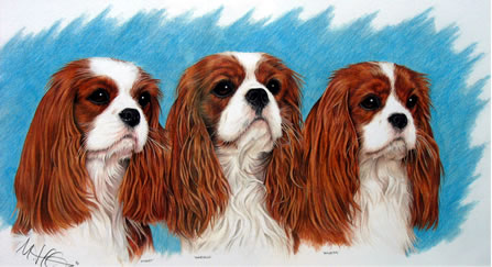 Leogem Cavaliers by Maria Heskins