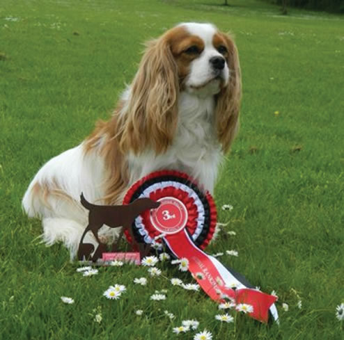 ChR1 Taybar Annabelle 